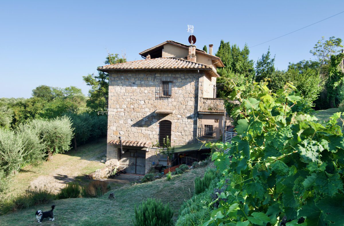 Building and location